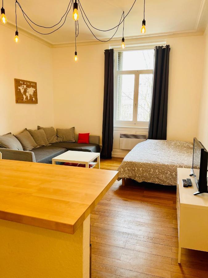 Studio Cosy De 28M2 Au Centre De Strasbourg Leilighet Eksteriør bilde